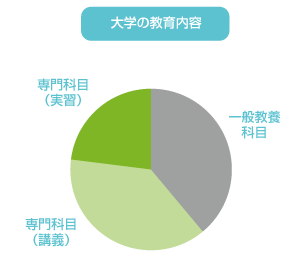 専門学校の授業科目の割合