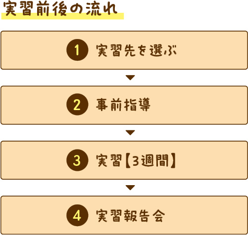 実習前後の流れ 図