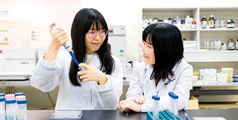 タンパク質工学実習　風景画像